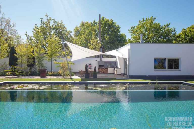 Wie Phönix aus der Asche