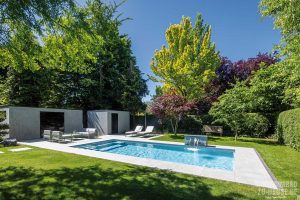 Im Schatten des Mammutbaums