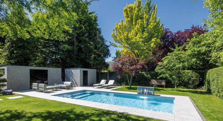 Im Schatten des Mammutbaums